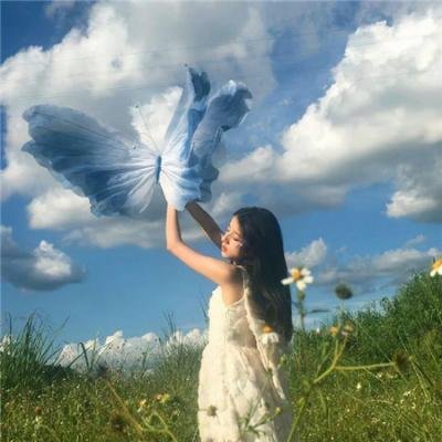 圣路易斯的骄傲
